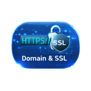domain ssl